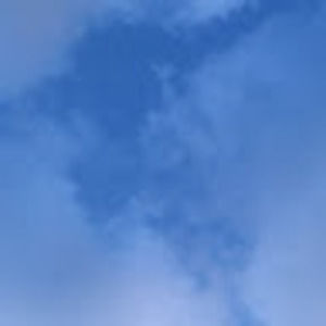 Meet your Posher, Bri